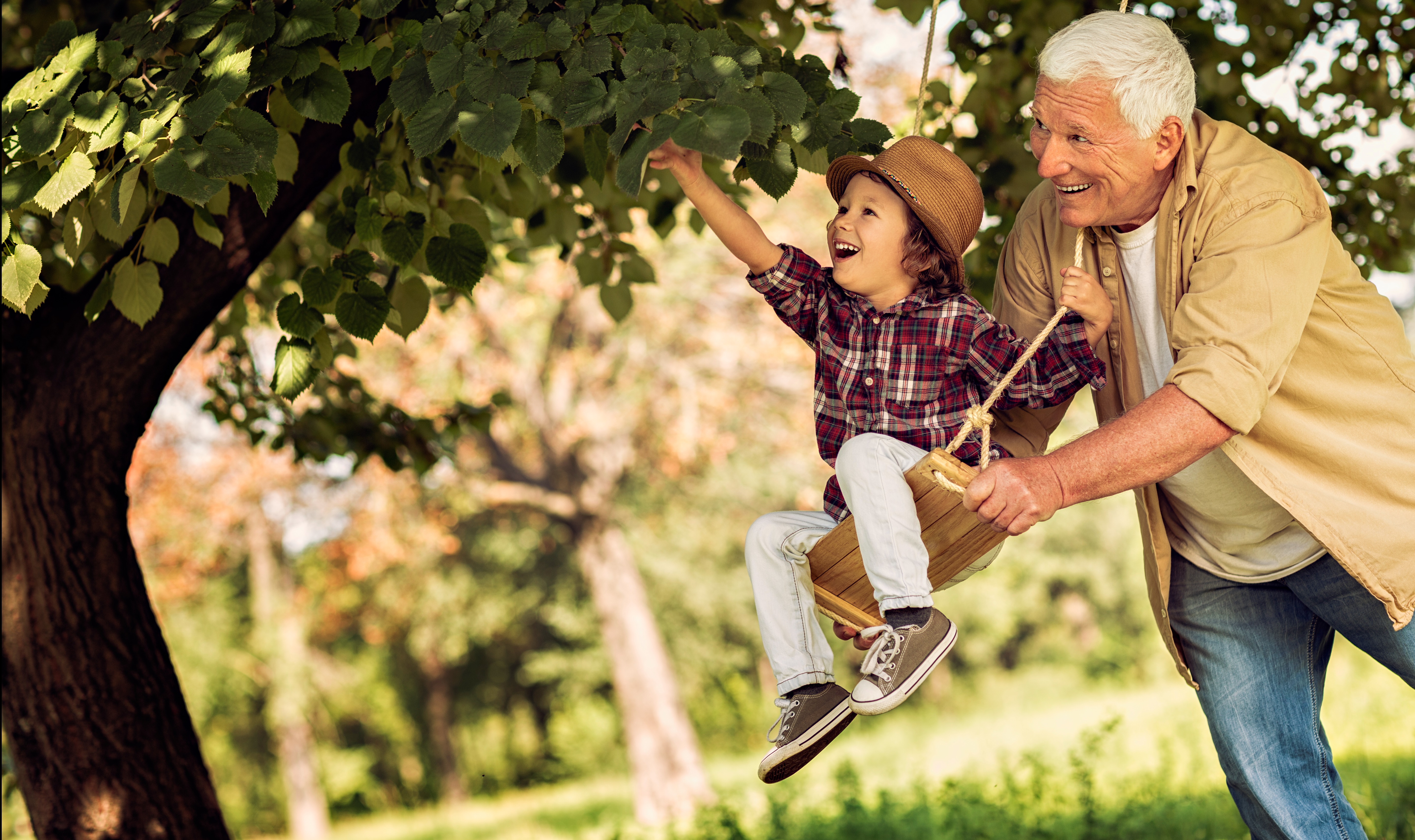 Senior gentleman pushing young child on a swing, while the child reaches for leaves in the tree.