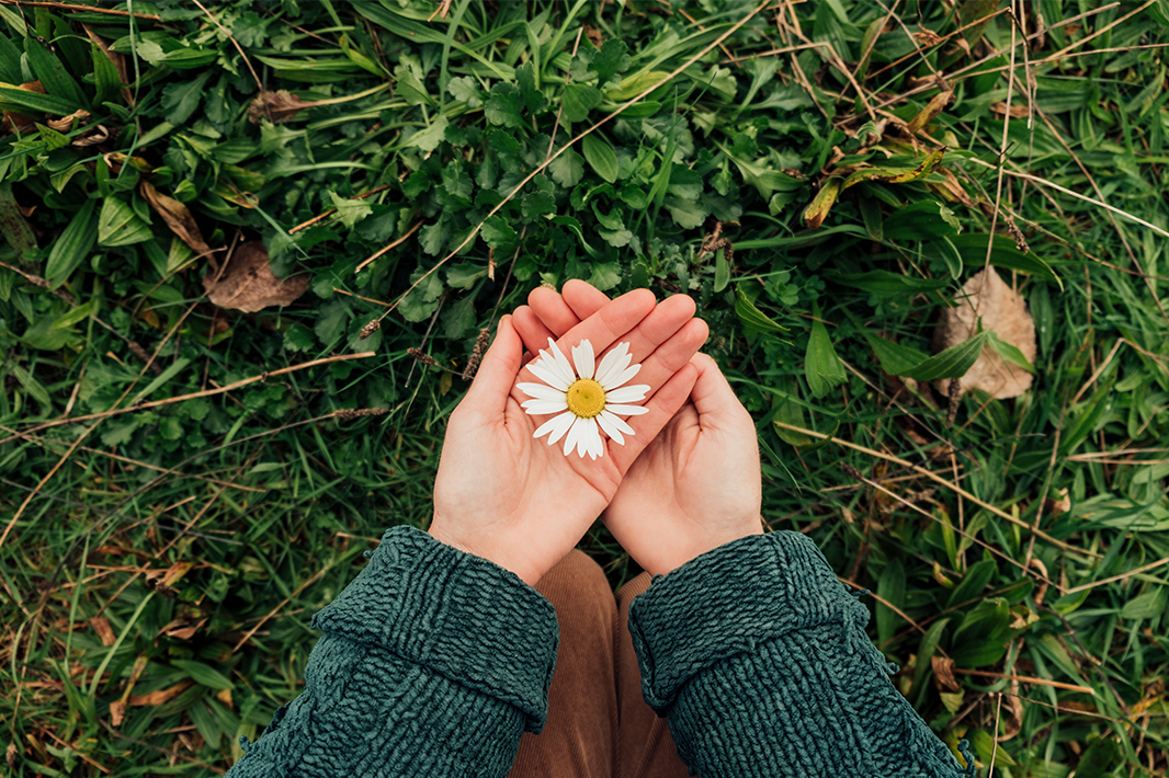 Holding a flower in the grass